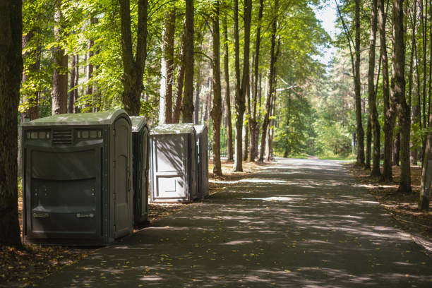 Affordable portable toilet rental in Lincoln Park, MI